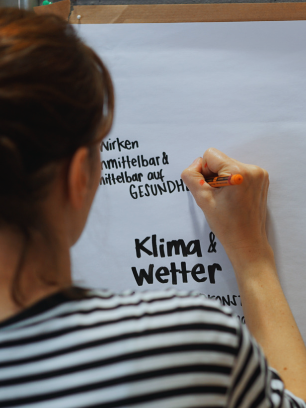 Ines Schaffranek Graphic Recording